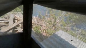 Как мы содержим кроликов Полтавское Серебро