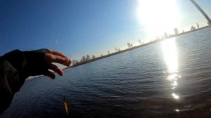 За осенним окунем? Микроджиг с Arion 702ULS