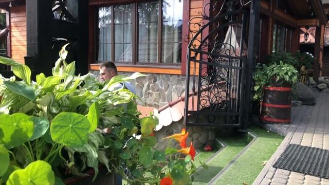 ВОРОХТА | Що подивитись та куди піти? | СЕКРЕТНА локація в Карпатах