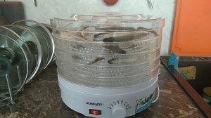 Как вялить корюшку быстро