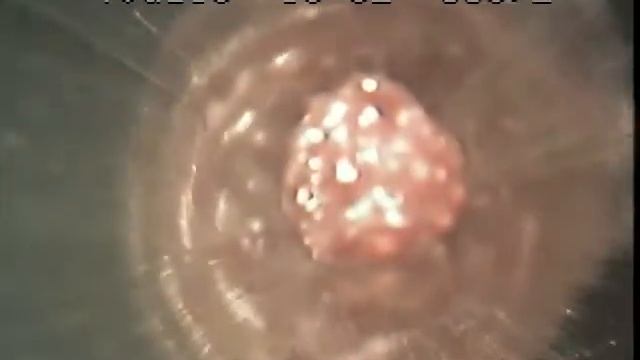 Pearpoint P374 Intrinsically Safe NTSC 1" Cam смотреть онлайн