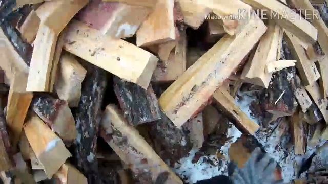 Заготовка дров на зиму в Якутии. Collecting firewood