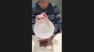 Мастер класс Подглазурная роспись фарфора