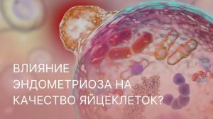 🕵️♀️ Влияние эндометриоза на качество яйцеклеток?