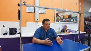 Алопеция у шпица после стрижки -  сказочный бред и путаница.