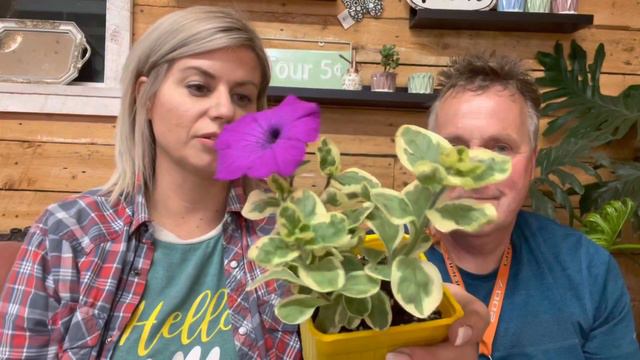 Today’s Top 5 Plants, May 3 смотреть онлайн