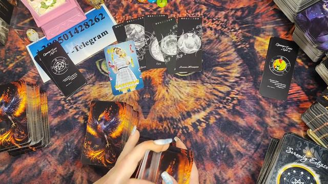 КРЫСЫ БЕГАЮТ КАК ОШПАРЕННЫЕ А ЖАБКИ КАК В ПОПУ РАНЕНЫЕ 😅😅😅😅🔥🪃👁️🪃🪃🪃🪃 смотреть онлайн