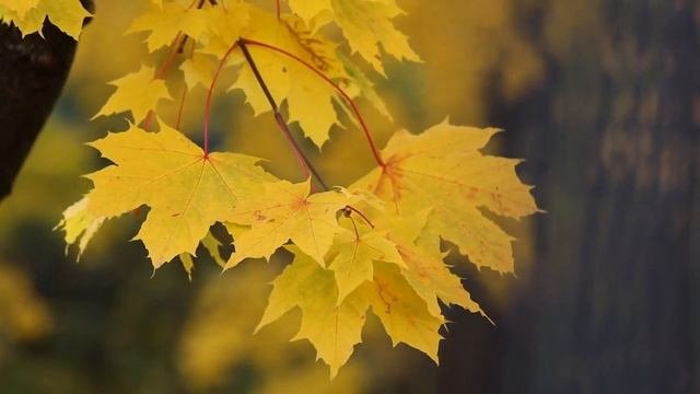 Какой сегодня праздник, приметы и именинники, что сегодня нельзя делать