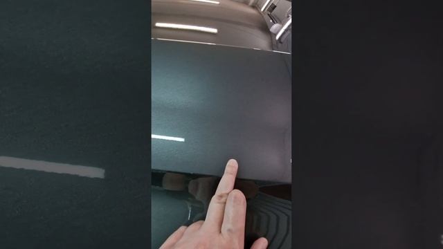 Hyundai Elantra - забронировали часть капота, установили защитную сетку, затонировали смотреть онлайн