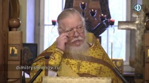 Протоиерей Димитрий Смирнов. Проповедь о дорогах, которые мы выбираем
