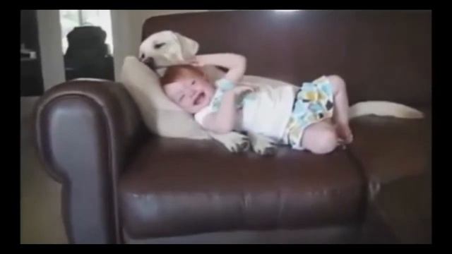 Маленькие дети! Приколы с детьми! Funny videos! смотреть онлайн