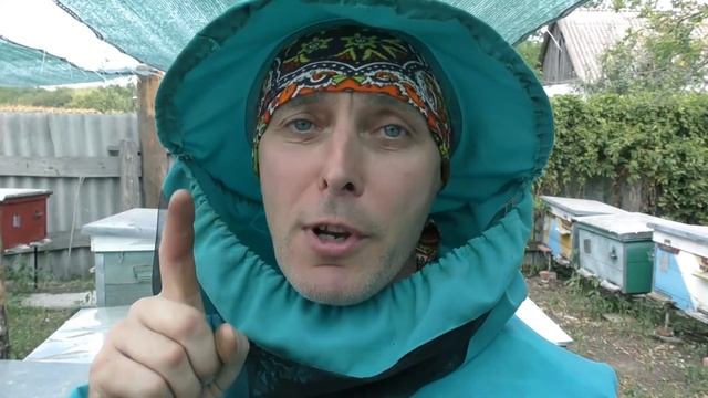 СОТОВЫЙ МЕД. ЭТАП ТРЕТИЙ. ДОБЫЧА. смотреть онлайн