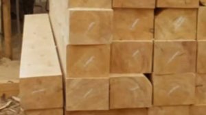 Значение хвойных