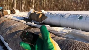 Сколько порчи при хранении сенажа в пленке?