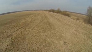 ПОИСК МОНЕТ КЛАДОВ ЗОЛОТА И СТАРИНЫ FINDS OF TREASURE HUNTERS