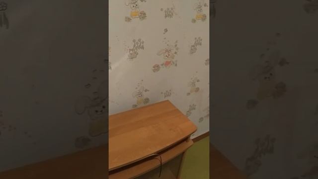 Квартира после квартирантов