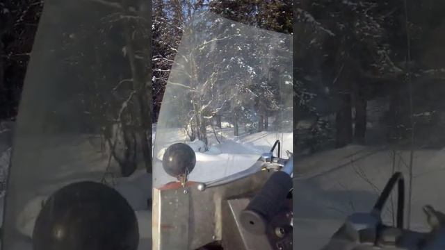 Короед собран смотреть онлайн