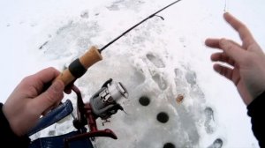 Зимний фидер SALMO ICE FEEDER.
