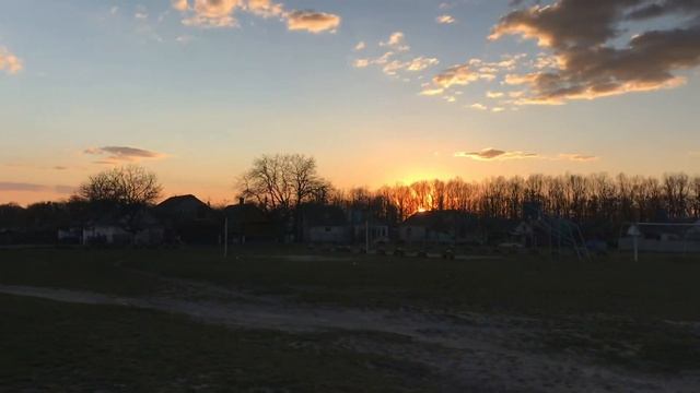 Как разозлить Тайгана. Наши домашние дела! смотреть онлайн