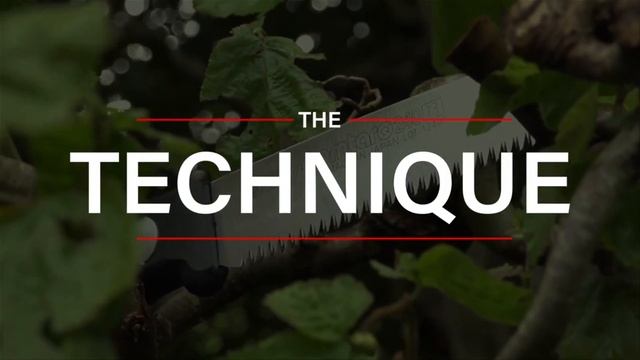 Ножовки для арбористов смотреть онлайн