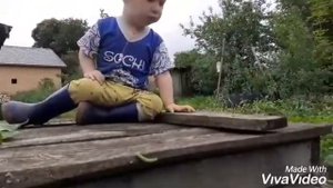 От чего такая путаница, на прогулку вышла #гусеница. Песня