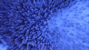 Прекрасные зимние пейзажи, красивое зимнее видео в 4K качестве/