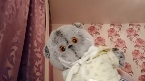 Половина 4 части!