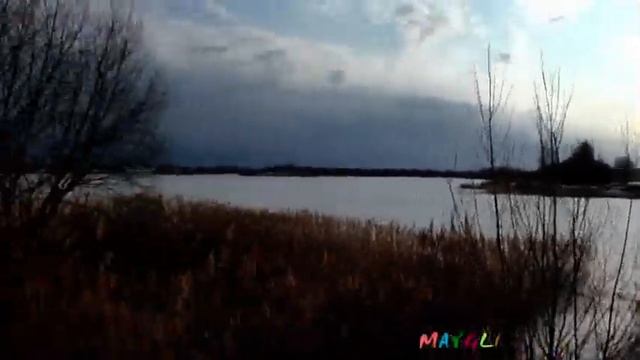 Ищем грибы ранней весной в лесу Старые Батеки. Трутовики. смотреть онлайн