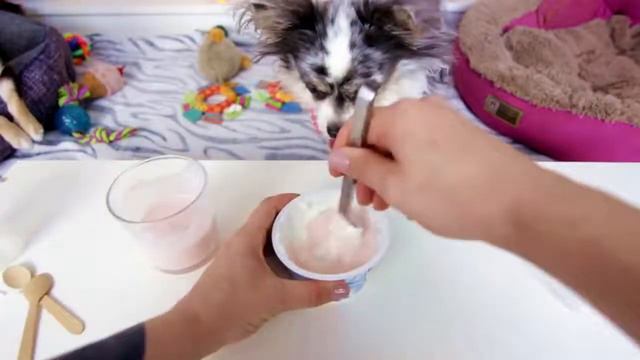 МОРОЖЕНОЕ ДЛЯ ЮМИ И МИШИ ПОКЕМОН ПЕРВЫЙ РАЗ ПРОБУЕТ ВКУСНЯШКУ ЛЕТНИЙ РЕЦЕПТ ОТ СОФИ И ЭИВАНА смотреть онлайн