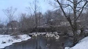 Пашков Владимир Николаевич
