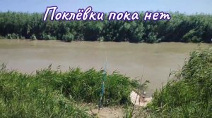 Рыбалка на канале в июле. Ловля сазана на макуху
