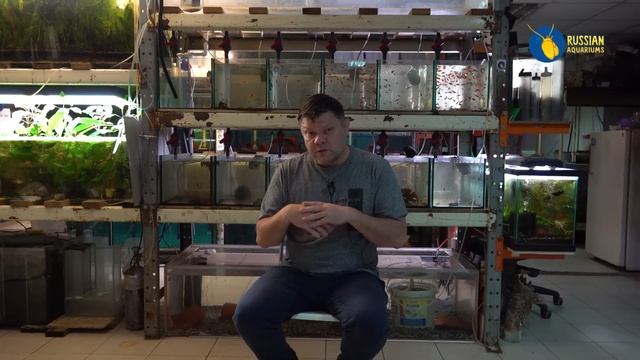 Разводчики пользуйтесь смотреть онлайн