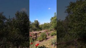 Моя маленькая дача