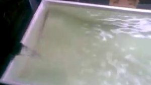 внешний фильтр для аквариума в крышке