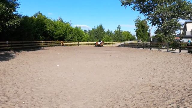 Виктория Овод и Бублик, Ппда, 25 июня 2020 смотреть онлайн