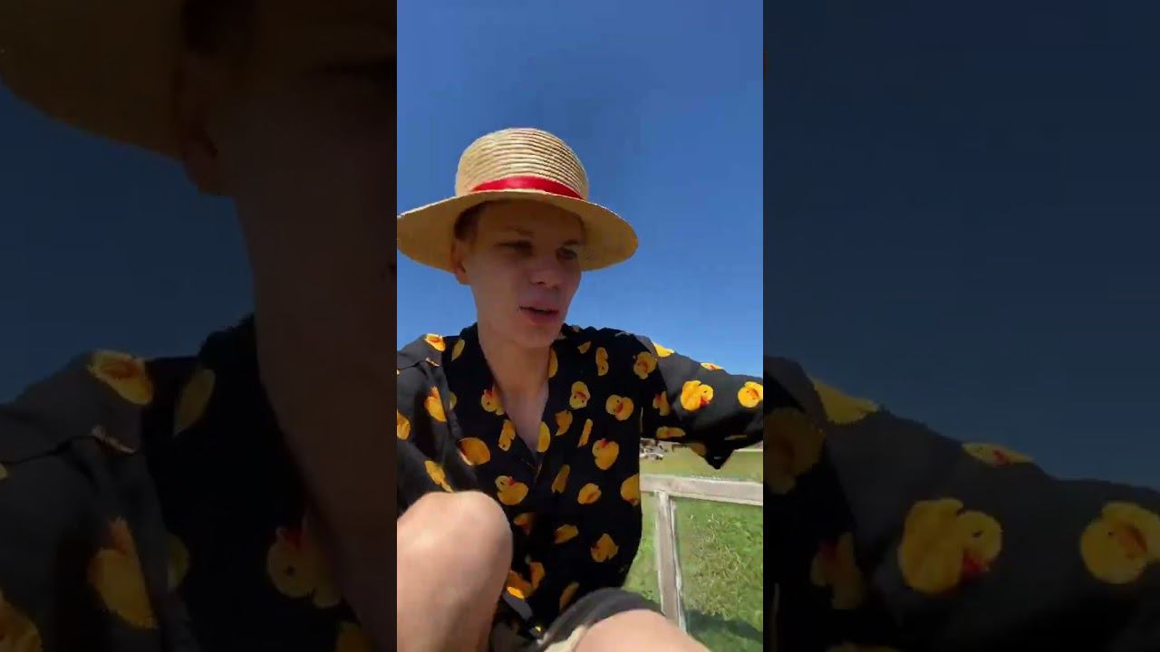 День в ДЕРЕВНЕ начинаетя с Пополнения : Гусята, утята, цыплята , крольчата Хоздвор расширяется смотреть онлайн