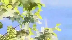 Фәрит Нургалиев                    Елама син балам мин киткәч тә