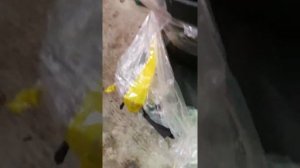 Услада 20 правда от владельца