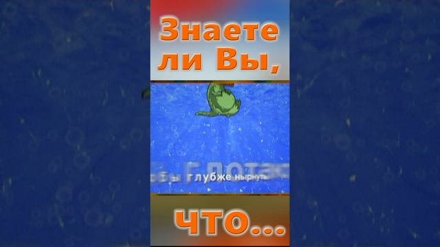 Знаете ли Вы, Что? Игуана