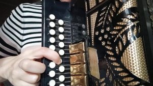 Ах ночь, голубая ночь, на гармони, разбор