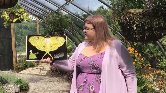 Community Connections Butterfly Greenhouse смотреть онлайн