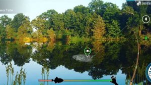 как и где ловить#щука амурская#MyFishingWorld