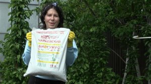 ЛУК СЕВОК. Дачные сезоны с Мариной Рыкалиной