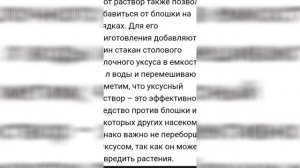 УКСУС САМОЕ ЛУЧШЕЕ СРЕДСТВО ОТ ВРЕДИТЕЛЕЙ КАПУСТЫ