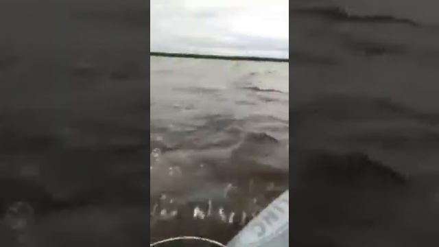 На рыбалку (флинк 360 и сузуки 6 , 4 такта смотреть онлайн