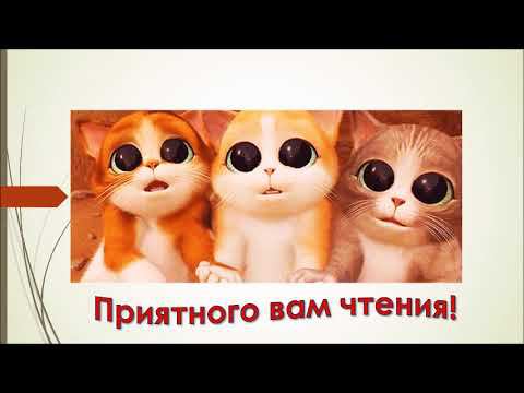 Виртуальная выставка «Страна Муррляндия»