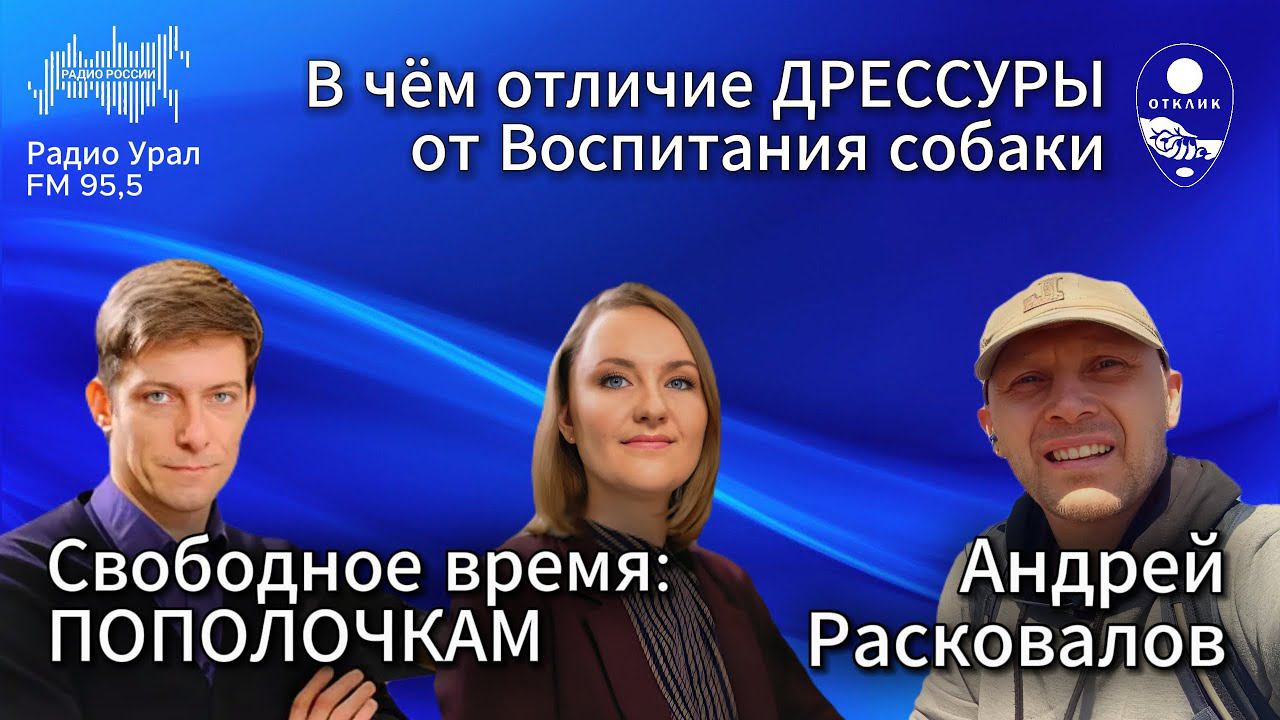 О кликер-дрессировке. Интервью на Радио России #дрессировкасобак  #воспитаниесобак #собака #щенок