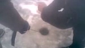 Толстолоб Зимой рыбалка