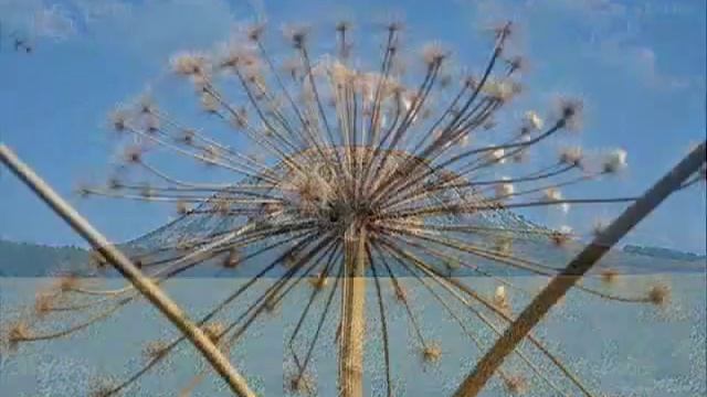 Башкортостан смотреть онлайн