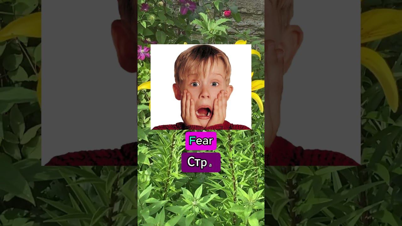1 буква меняет смысл. shorts английский fear near madamsheko